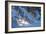 Buffalo River 52-Gordon Semmens-Framed Photographic Print