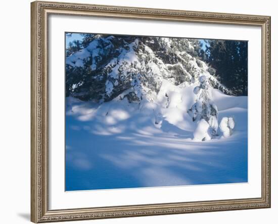 Buffalo River 53-Gordon Semmens-Framed Photographic Print