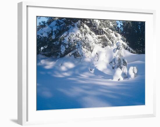 Buffalo River 53-Gordon Semmens-Framed Photographic Print