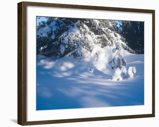 Buffalo River 53-Gordon Semmens-Framed Photographic Print