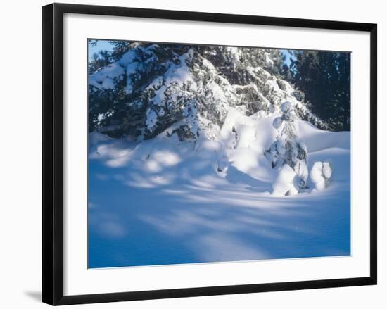 Buffalo River 53-Gordon Semmens-Framed Photographic Print