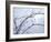 Buffalo River 57-Gordon Semmens-Framed Photographic Print