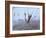 Buffalo River 60-Gordon Semmens-Framed Photographic Print