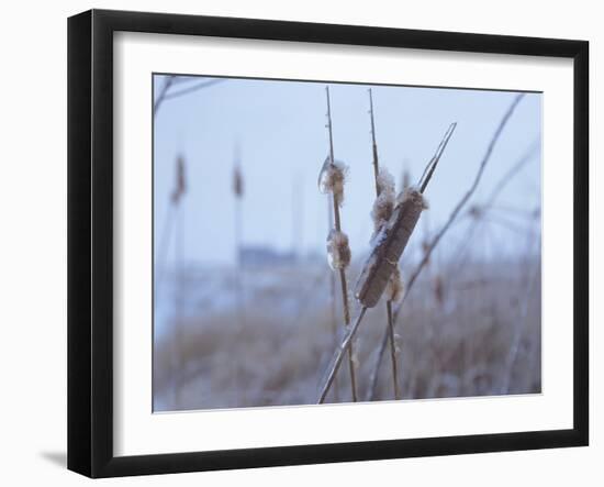 Buffalo River 60-Gordon Semmens-Framed Photographic Print