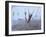 Buffalo River 60-Gordon Semmens-Framed Photographic Print