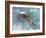 Buffalo River 62-Gordon Semmens-Framed Photographic Print