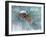 Buffalo River 62-Gordon Semmens-Framed Photographic Print