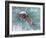 Buffalo River 62-Gordon Semmens-Framed Photographic Print