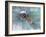 Buffalo River 62-Gordon Semmens-Framed Photographic Print