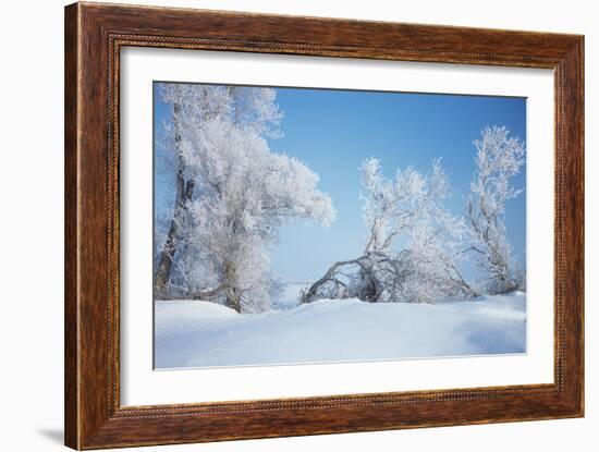 Buffalo River 65-Gordon Semmens-Framed Photographic Print