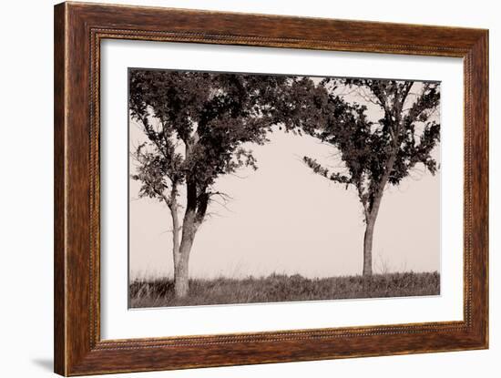 Buffalo River 6-Gordon Semmens-Framed Photographic Print