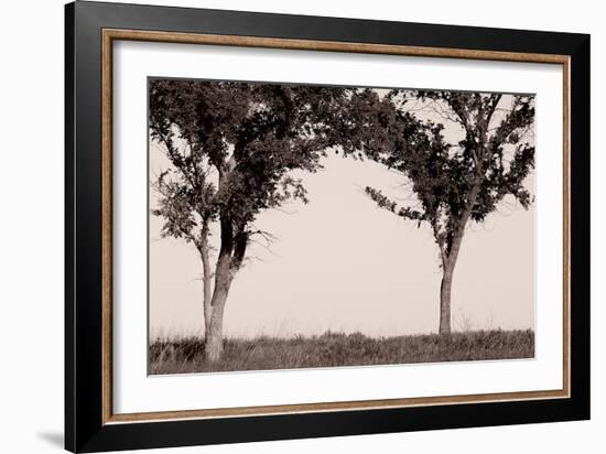 Buffalo River 6-Gordon Semmens-Framed Photographic Print