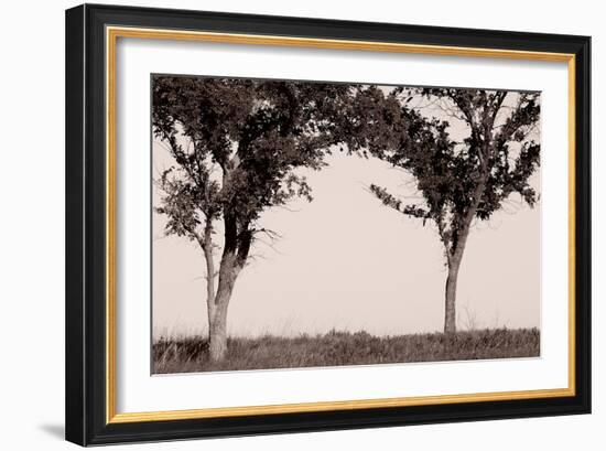 Buffalo River 6-Gordon Semmens-Framed Photographic Print