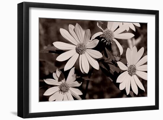 Buffalo River 7-Gordon Semmens-Framed Photographic Print