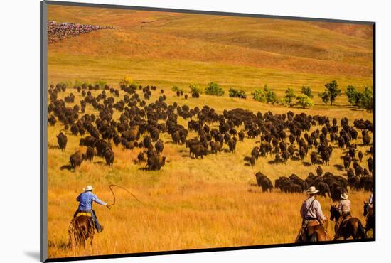 Buffalo Round Up, Custer State Park, Black Hills, South Dakota, United States of America-Laura Grier-Mounted Photographic Print