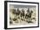 Buffalo Soldiers in the Arizona Desert-null-Framed Giclee Print