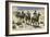 Buffalo Soldiers in the Arizona Desert-null-Framed Giclee Print