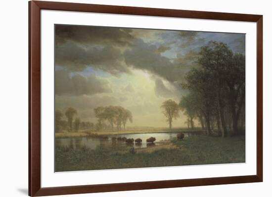 Buffalo Trail c.1867-Albert Bierstadt-Framed Art Print
