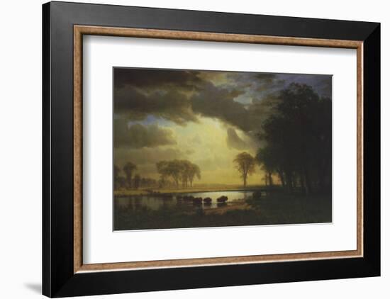 Buffalo Trail c.1867-Albert Bierstadt-Framed Art Print