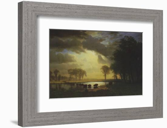 Buffalo Trail c.1867-Albert Bierstadt-Framed Art Print