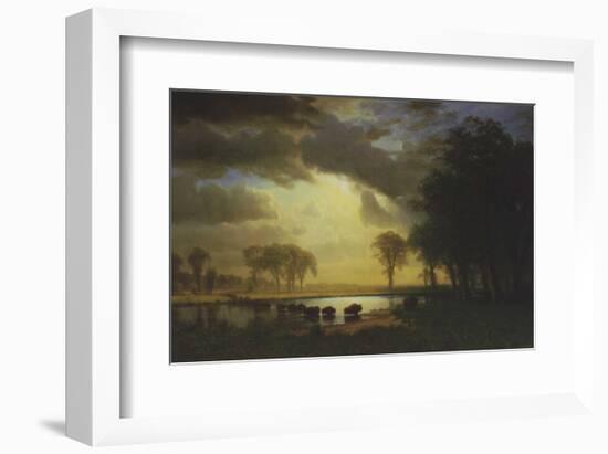 Buffalo Trail c.1867-Albert Bierstadt-Framed Art Print