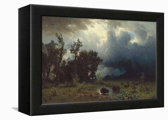 Buffalo Trail: The Impending Storm, 1869-Albert Bierstadt-Framed Premier Image Canvas