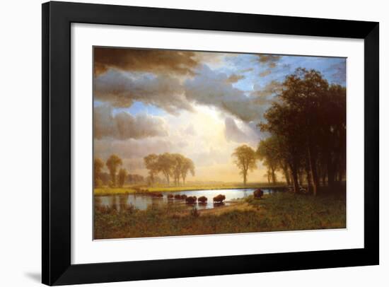 Buffalo Trail-Albert Bierstadt-Framed Art Print