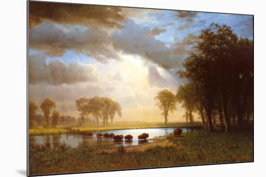 Buffalo Trail-Albert Bierstadt-Mounted Art Print