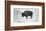 Buffalo-Trent Foltz-Framed Art Print