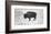 Buffalo-Trent Foltz-Framed Art Print