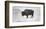 Buffalo-Trent Foltz-Framed Art Print