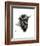 Buffalo-Philippe Debongnie-Framed Art Print