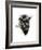 Buffalo-Philippe Debongnie-Framed Art Print