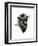 Buffalo-Philippe Debongnie-Framed Art Print