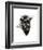 Buffalo-Philippe Debongnie-Framed Art Print