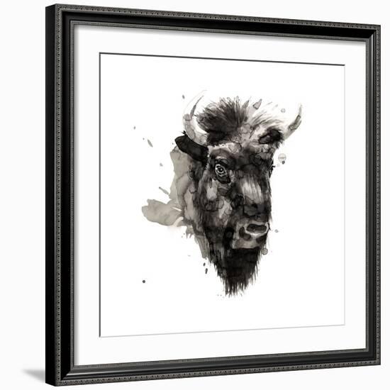 Buffalo-Philippe Debongnie-Framed Giclee Print