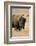 Buffalo-DLILLC-Framed Photographic Print