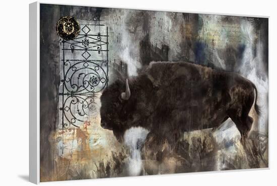 Buffalo-Marta Wiley-Framed Stretched Canvas