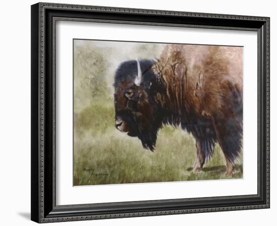 Buffalo-Rusty Frentner-Framed Giclee Print