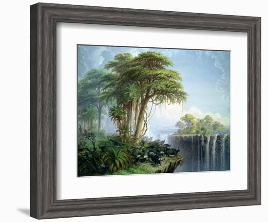 Buffalos Driven to the Edge of the Chasm Opposite Garden Island, Victoria Falls-Thomas Baines-Framed Giclee Print