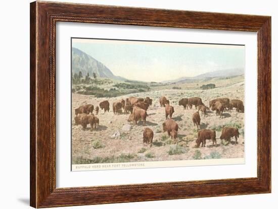 Bufffalo Herd, Yellowstone National Park-null-Framed Art Print