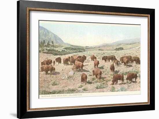 Bufffalo Herd, Yellowstone National Park-null-Framed Art Print