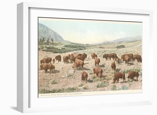 Bufffalo Herd, Yellowstone National Park-null-Framed Art Print