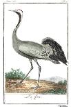 Buffon Cranes & Herons III-Buffon-Art Print