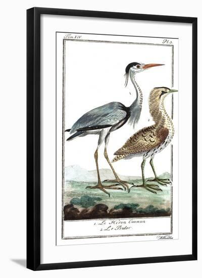 Buffon Cranes & Herons III-Buffon-Framed Art Print