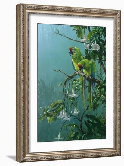 Buffons Macaws-Michael Jackson-Framed Giclee Print