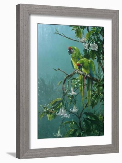 Buffons Macaws-Michael Jackson-Framed Giclee Print