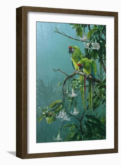 Buffons Macaws-Michael Jackson-Framed Giclee Print