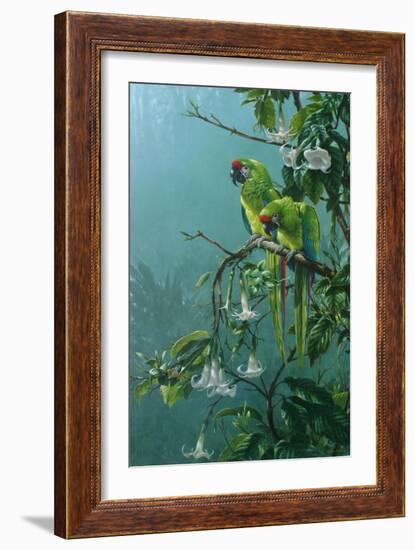 Buffons Macaws-Michael Jackson-Framed Giclee Print