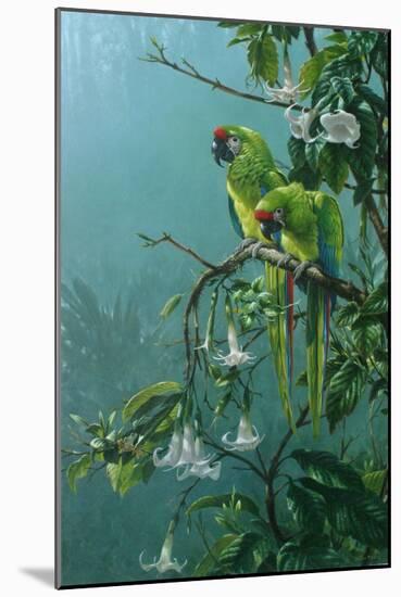 Buffons Macaws-Michael Jackson-Mounted Giclee Print